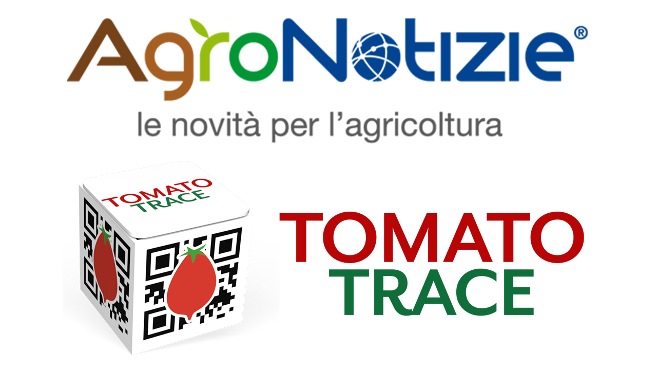 Tomato Trace 4.0, rilevare l'impronta della terra nel Pomodorino Dop
