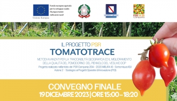 19.12.2023 - TomatoTrace | Evento Finale